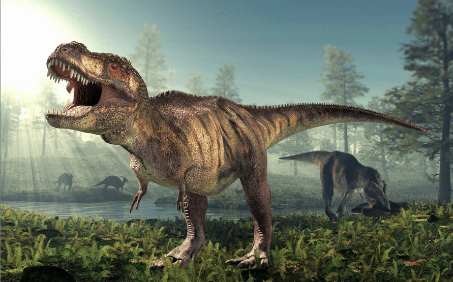 Facts about dinosaurs : T-Rex