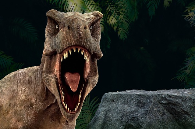 All About TRex
