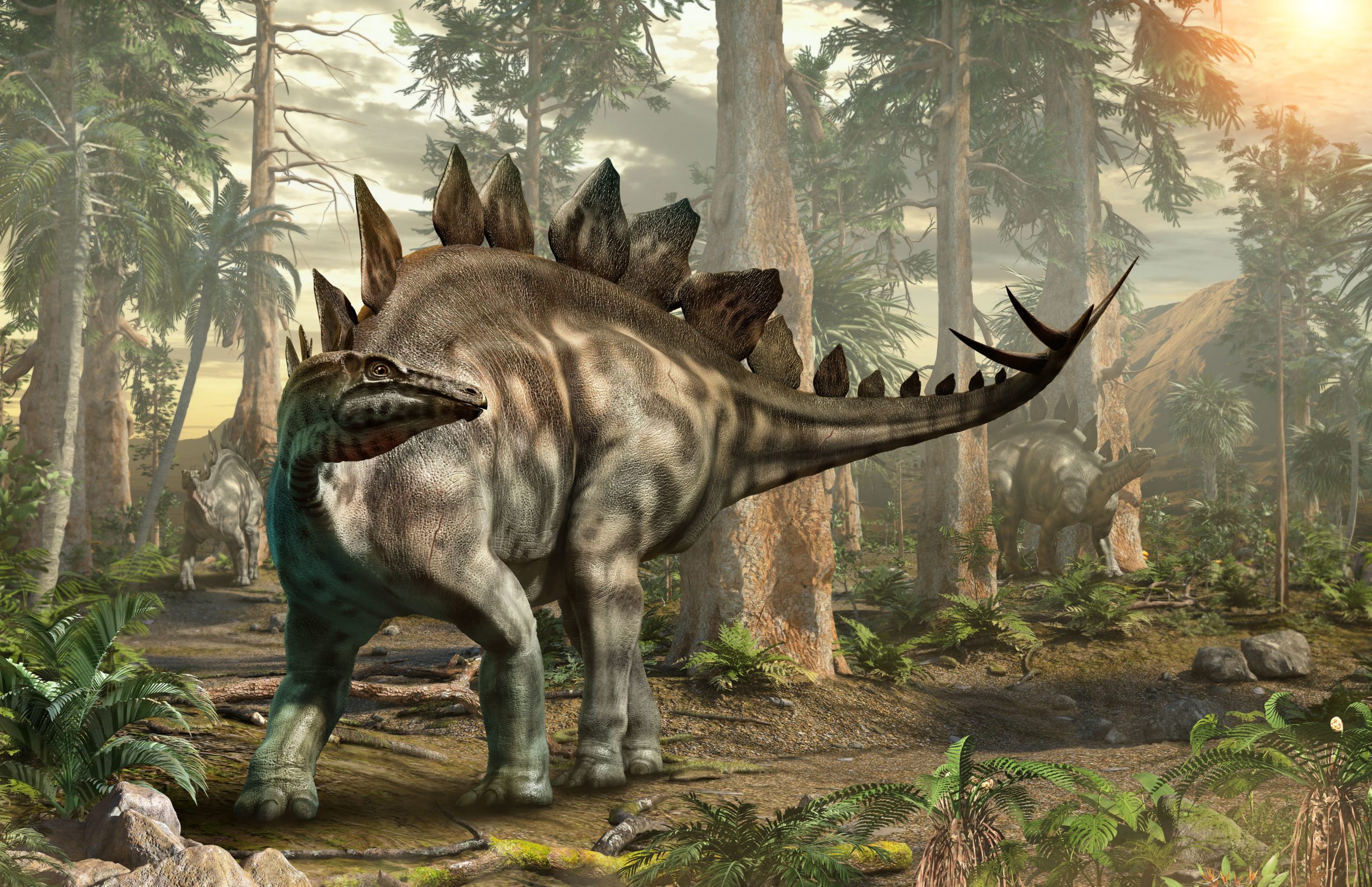 Stegosaurus Facts for Kids