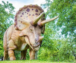 dinosaur, forest, dino-5414593.jpg